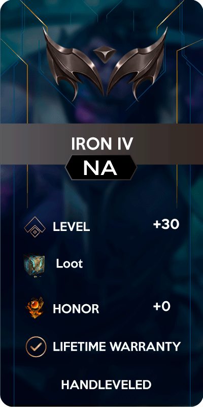 IRON IV NA ACCOUNT HONOR 0